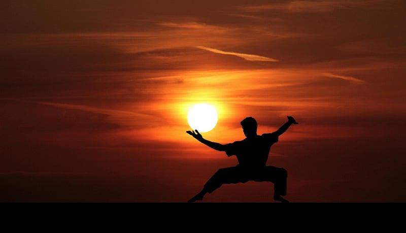 Tai Chi Seniors Image